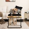 Dog Bowl Stand with Stainless Steel Food And Water Bowls