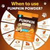 Pumpkin Powder for Dogs Digestive Support
