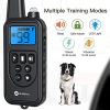 Electronic Dog Training Collar with Remote Control