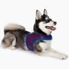 Active Mesh Dog Harness