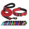 Matching Collar and Leash with Comfortable Handle