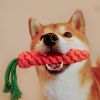 Rope Toy For Chewing And Cleaning Teeth Carrot Or Duck