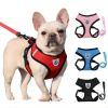 Reflective Mesh Pet Harness And Leash Set