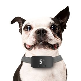 Anti Barking Collar (colour: black)