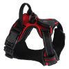 Light Up Dog Harness Rechargeable LED
