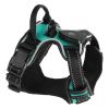Light Up Dog Harness Rechargeable LED
