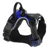 Light Up Dog Harness Rechargeable LED