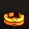 Glow-In-The-Dark Pet Collar