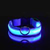 Glow-In-The-Dark Pet Collar