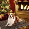 Self Heating Pet Mat