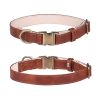 Soft Leather Dog Collar with Durable Metal Buckle