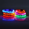 Glow-In-The-Dark Pet Collar
