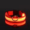 Glow-In-The-Dark Pet Collar