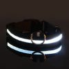 Glow-In-The-Dark Pet Collar