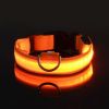 Glow-In-The-Dark Pet Collar