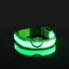 Glow-In-The-Dark Pet Collar