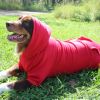 Flex-Fit Dog Hoodie