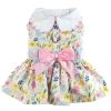 Pastel Meadow Dog Dress with Matching Leash
