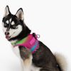 American River Choke Free Harness Ombre Collection