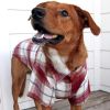 Flannel Dog Shirt