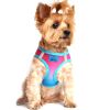American River Choke Free Harness Ombre Collection