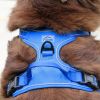 Venture Paw Pull Control Dog Harness